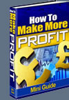 Mini Profit Guide